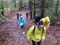 zloty lisc 2017 (24)